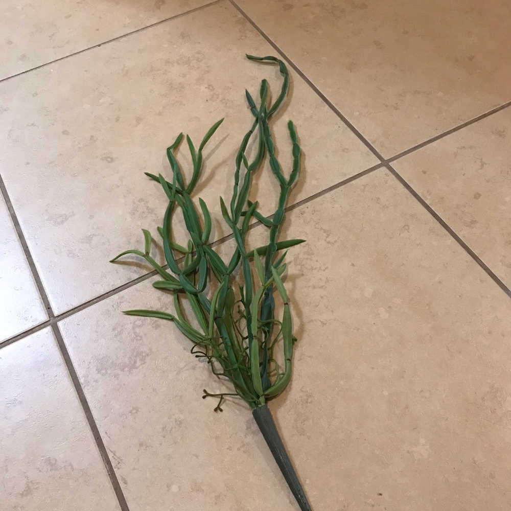 Artificial green faux cactus succulent vine NEW